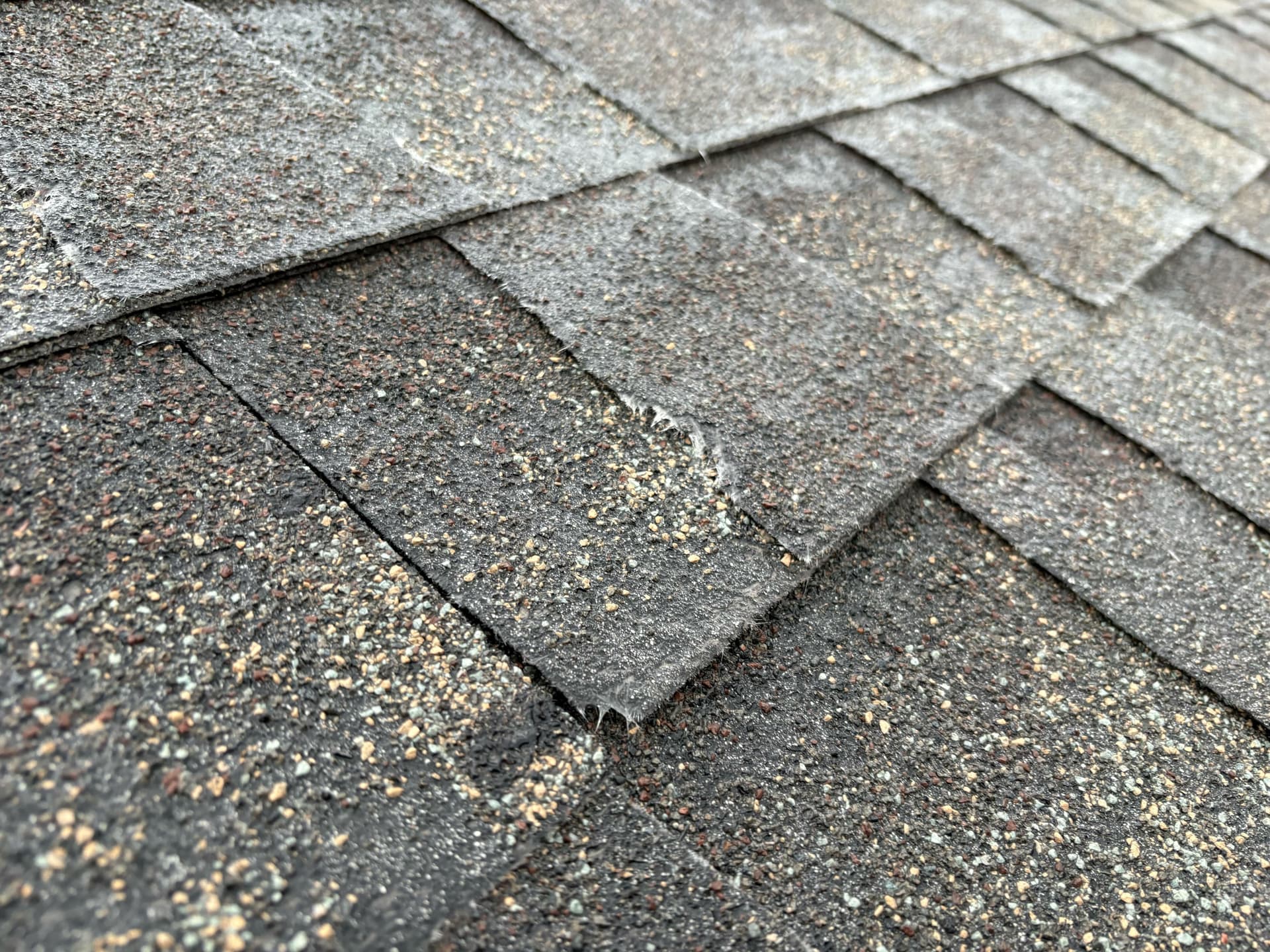 Close-up of worn asphalt shingles with granule loss and exposed mat after hail