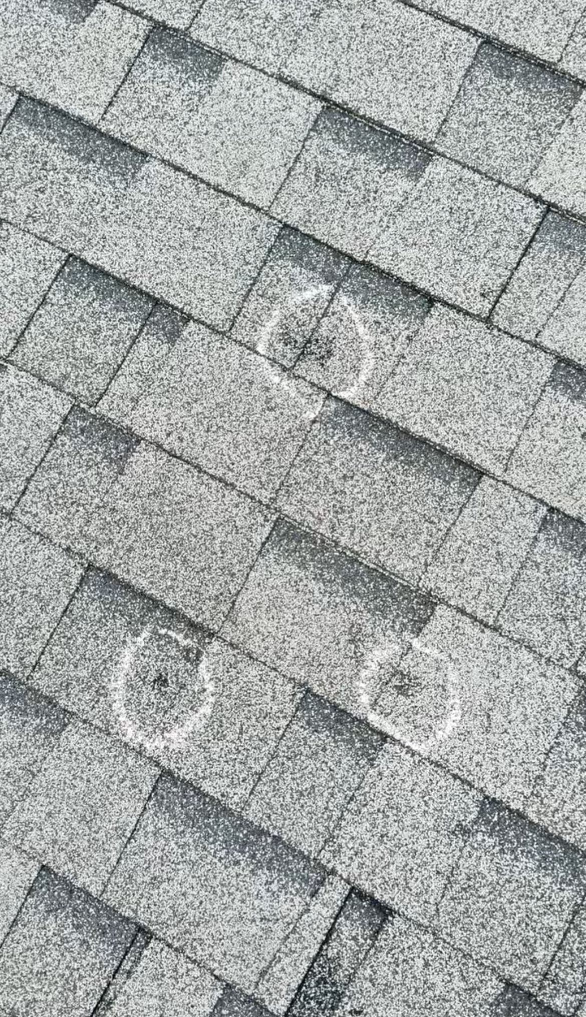 Gray asphalt shingles with hail impacts circled in chalk during a roof inspection