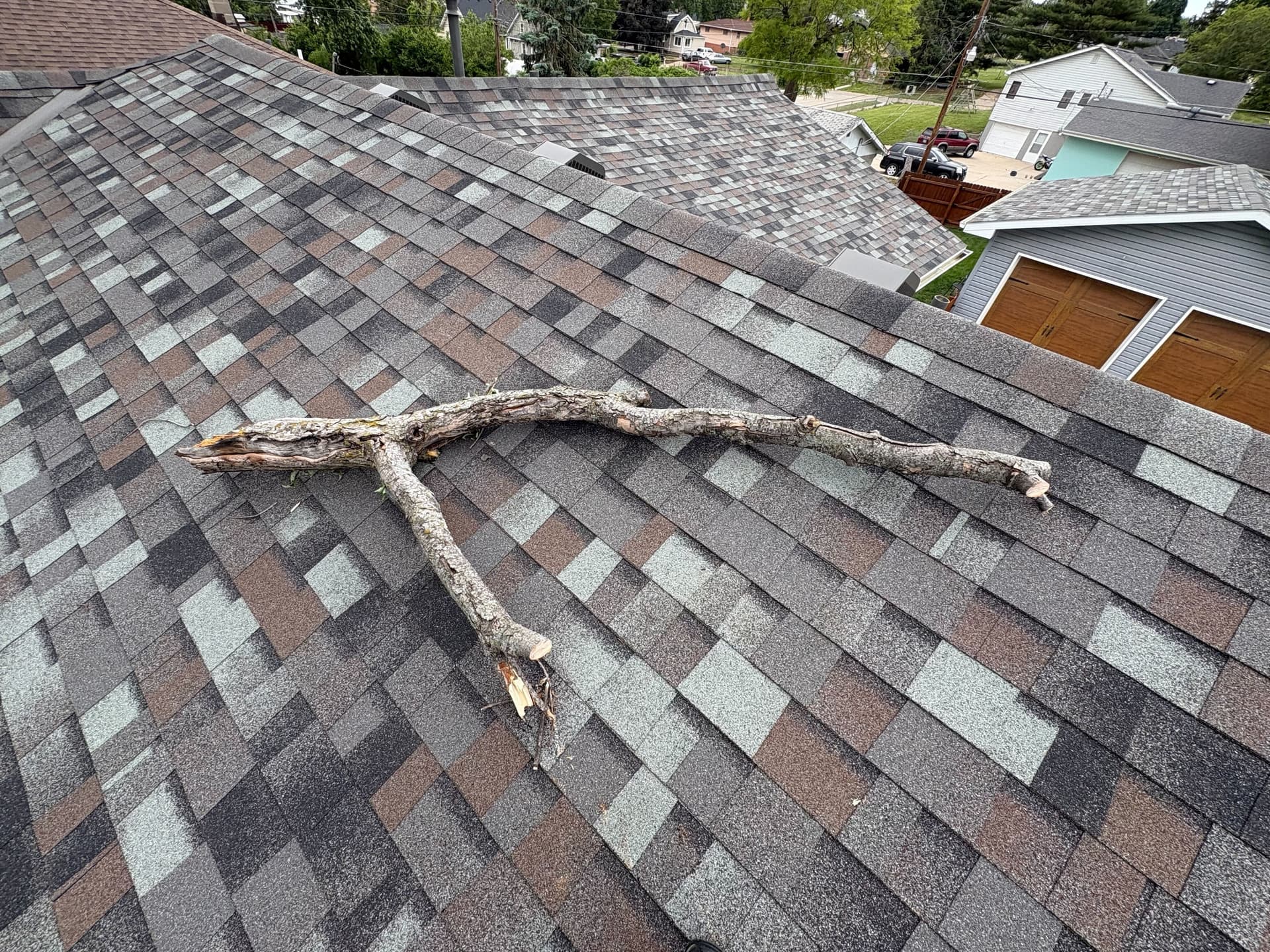 Tree branch that fell onto an asphalt shingle roof during a storm in Papillion