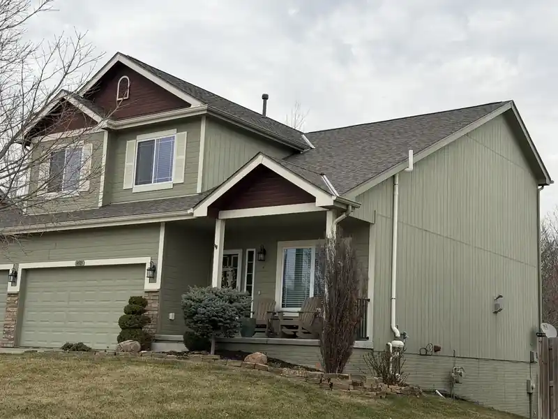 Wildlife on Your Roof: Preventing Bird and Critter Damage