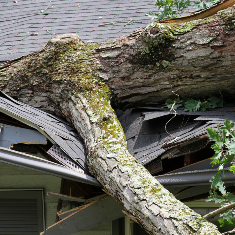 home storm damage