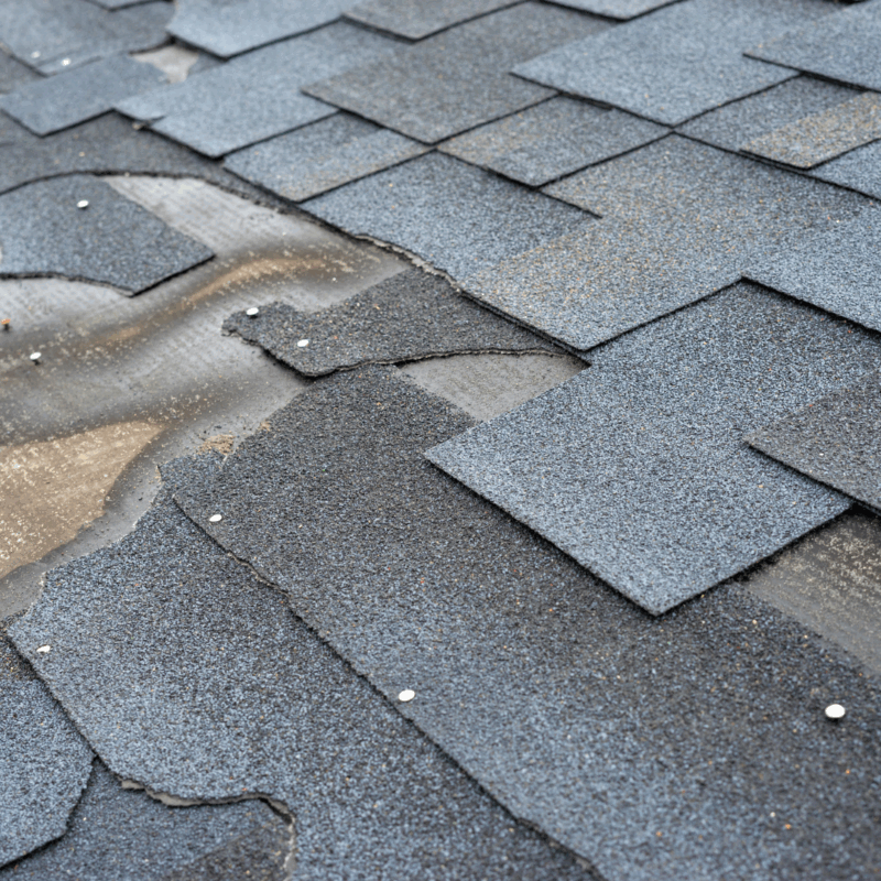 roof replacement